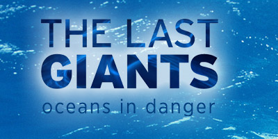 The Last Giants